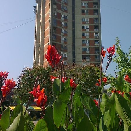 Hotel Konaciste Goc Trstenik Zewnętrze zdjęcie