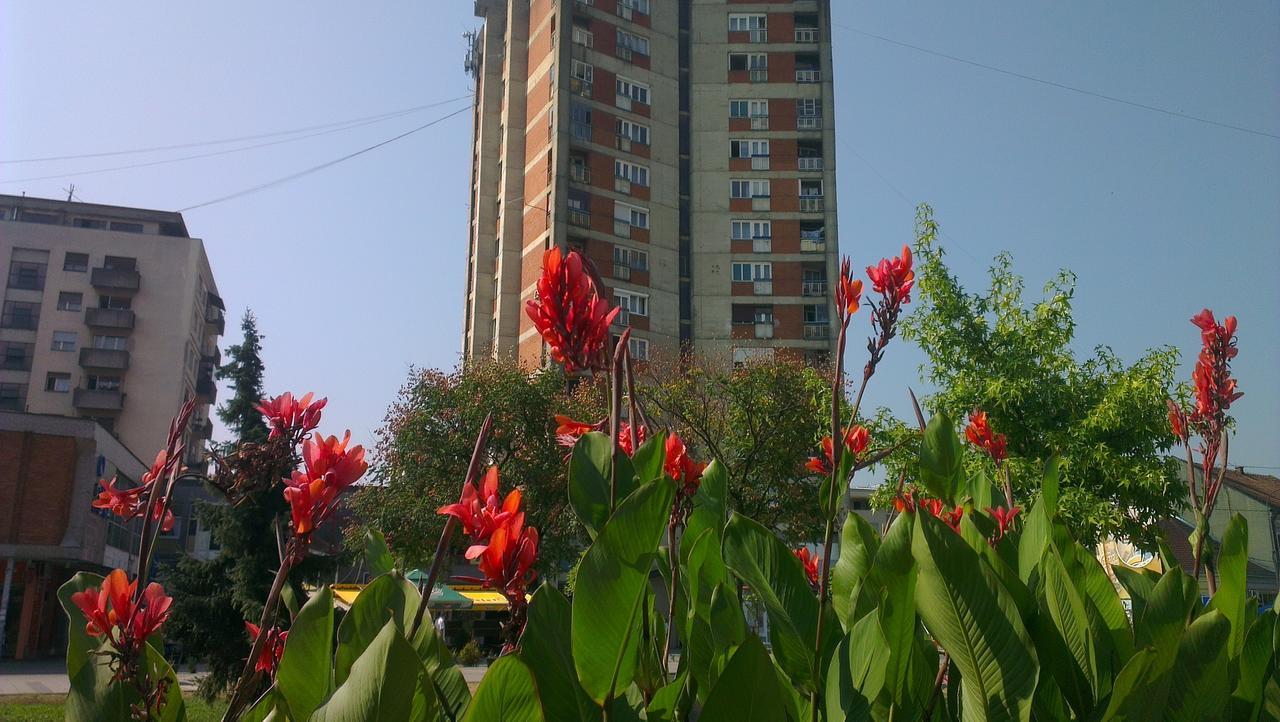 Hotel Konaciste Goc Trstenik Zewnętrze zdjęcie